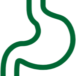 内視鏡・エコー検査